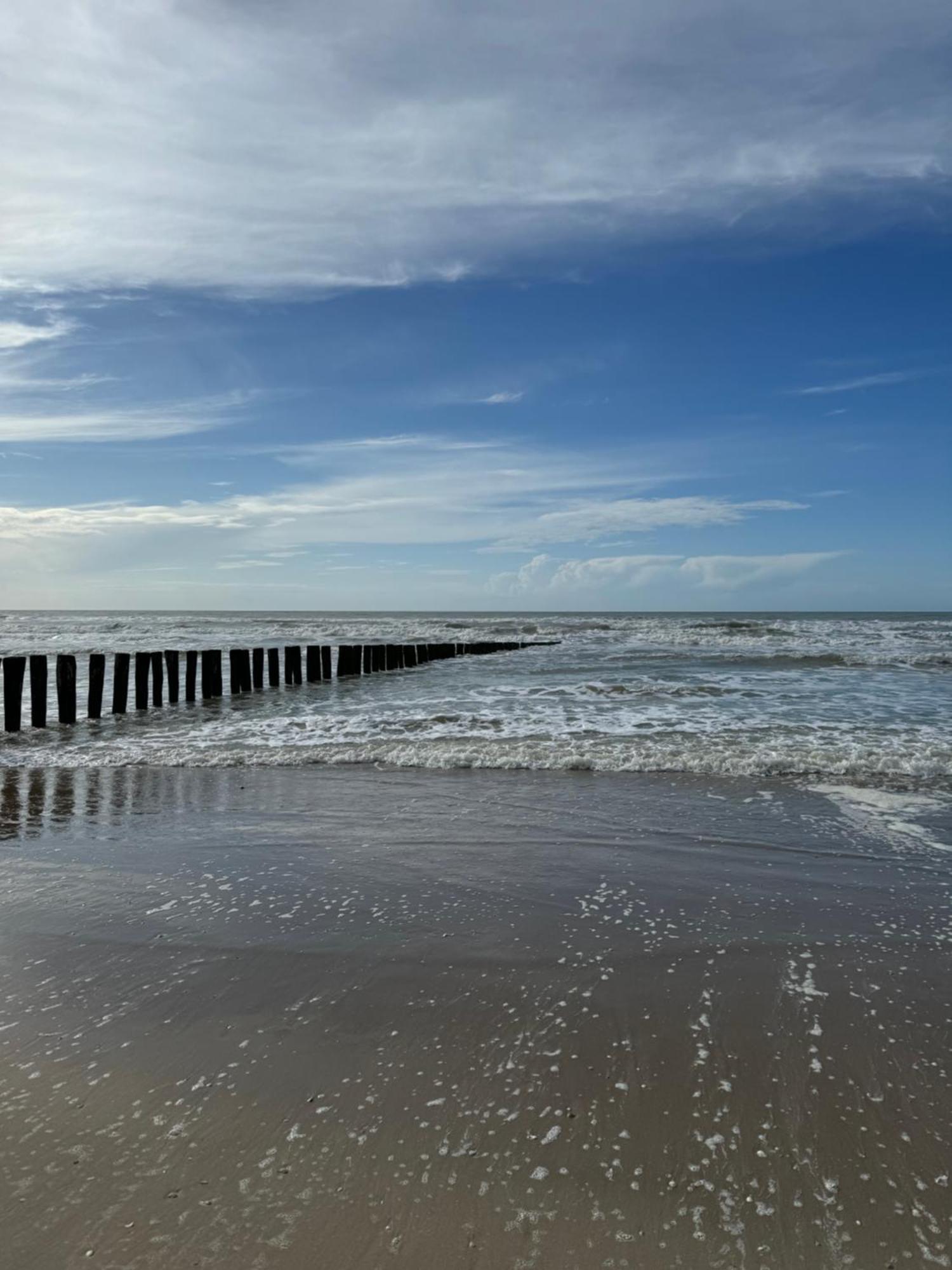 Le Paillette T2 400 M De La Plage Berck Екстериор снимка