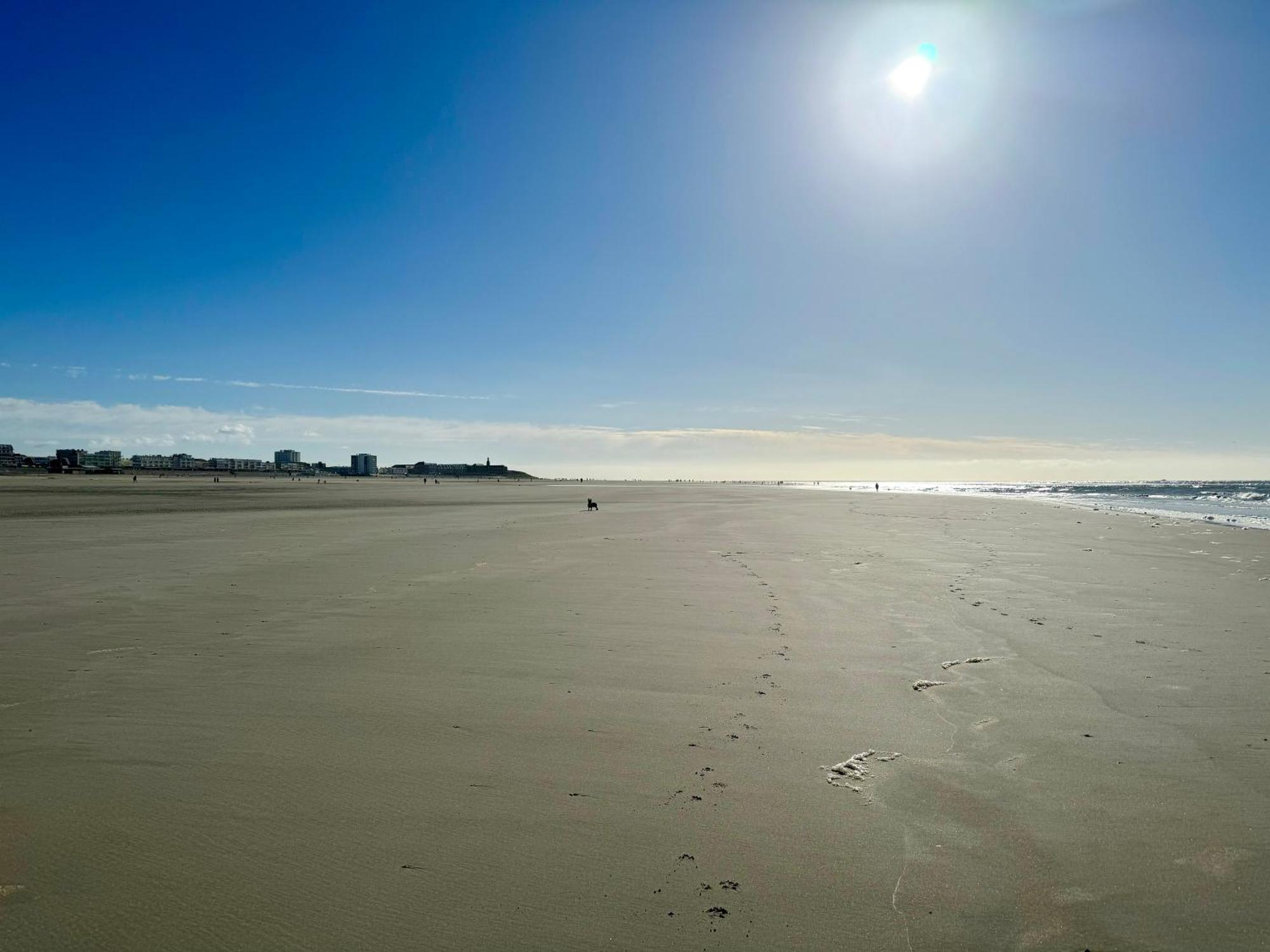 Le Paillette T2 400 M De La Plage Berck Екстериор снимка